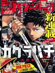 华丽的挑战漫画视线调度标本图